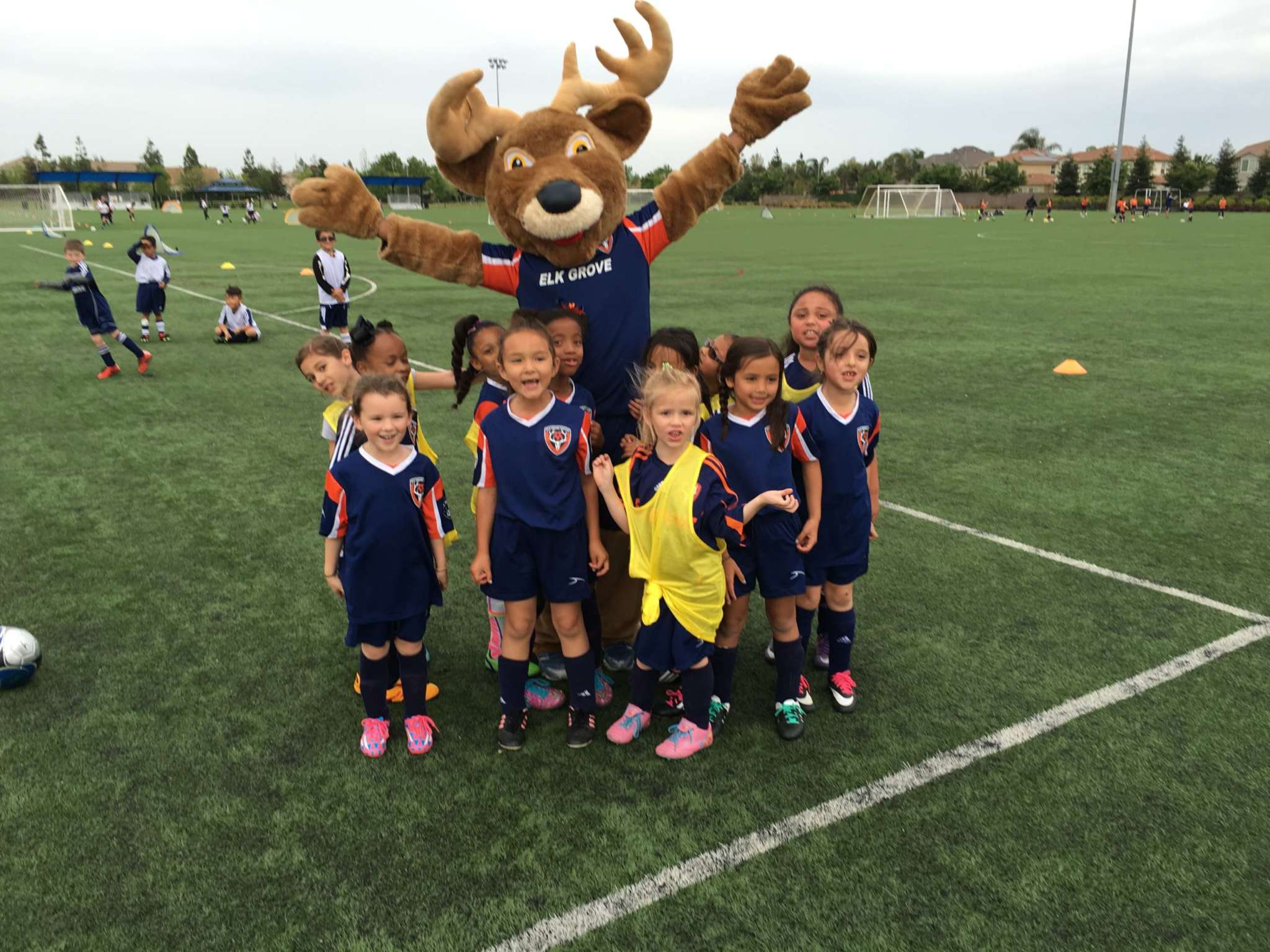 Spring Future Stars Elk Grove Soccer