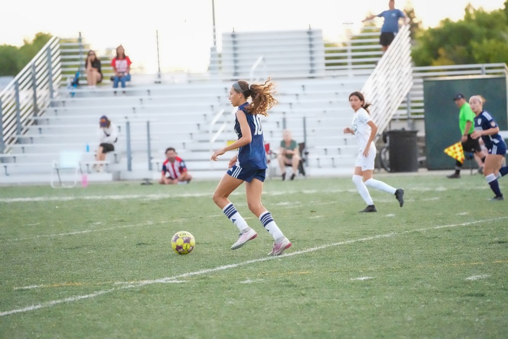 ecnl-rl