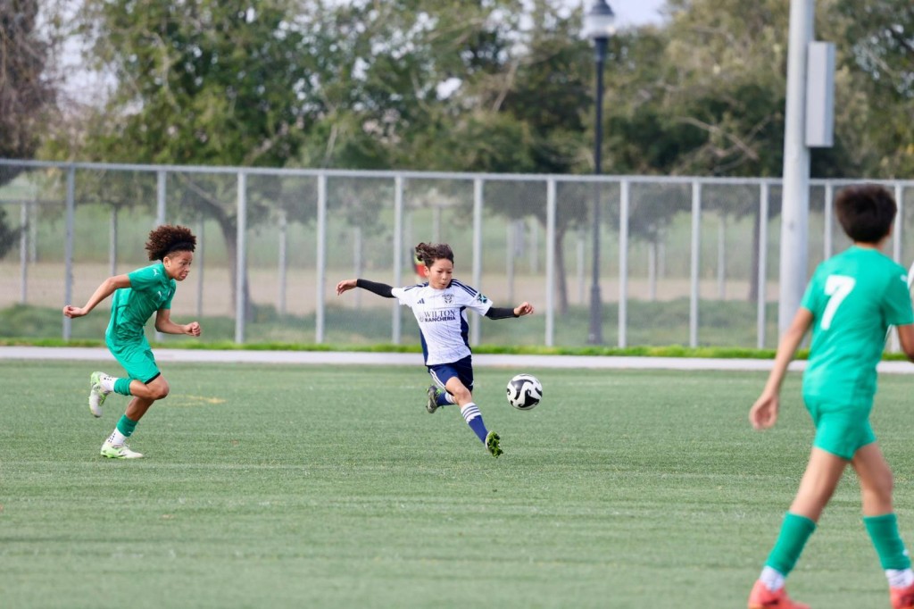 mls-next